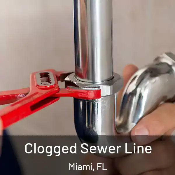  Clogged Sewer Line Miami, FL