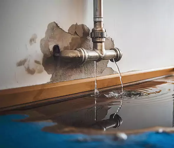 Professional Water Damage Restoration Experts in Miami, FL — Fast, Reliable & Certified