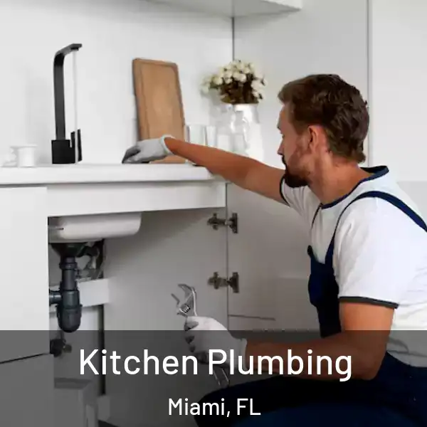  Kitchen Plumbing Miami, FL
