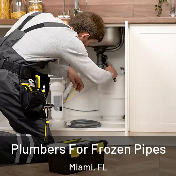  Plumbers For Frozen Pipes Miami, FL