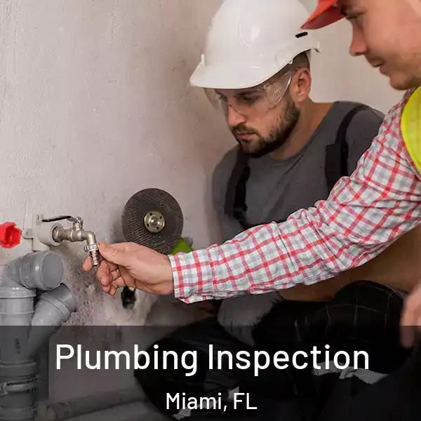  Plumbing Inspection Miami, FL