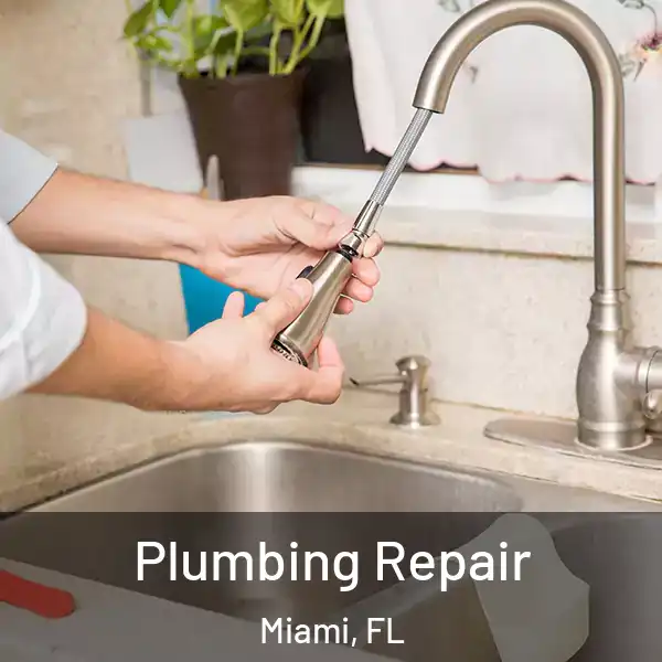  Plumbing Repair Miami, FL