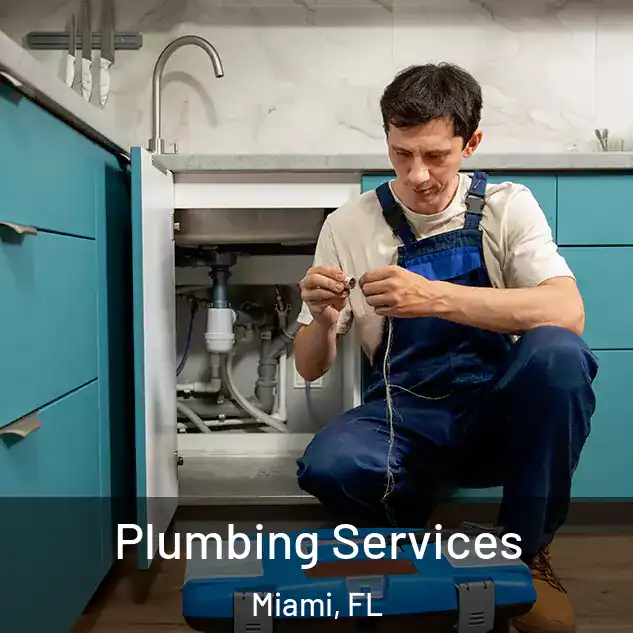 Plumbing Services Miami, FL