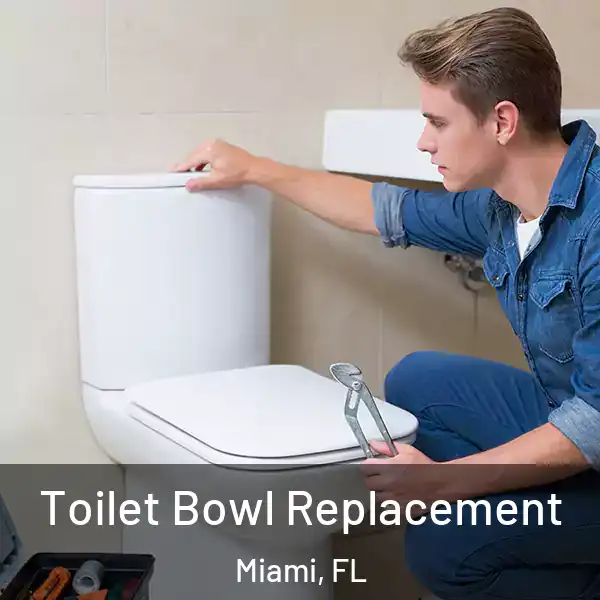  Toilet Bowl Replacement Miami, FL