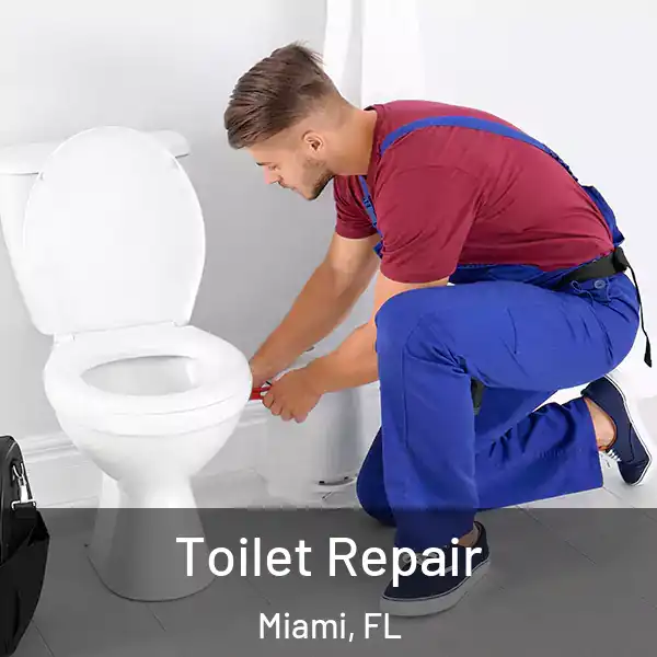  Toilet Repair Miami, FL