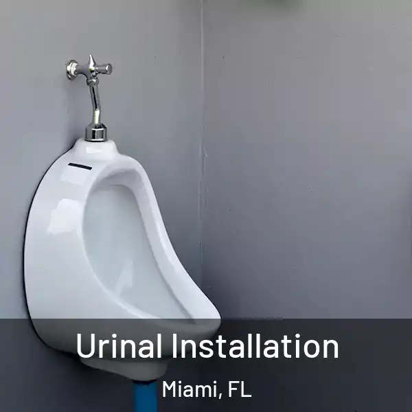  Urinal Installation Miami, FL