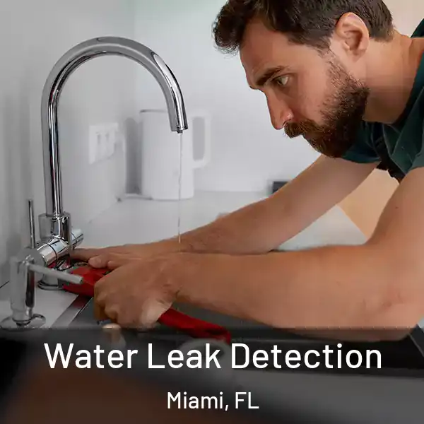  Water Leak Detection Miami, FL